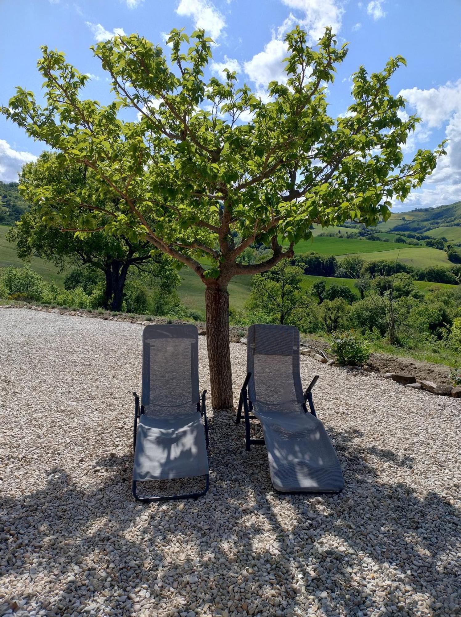 Rosa Nel Pozzo Apartments And B&B San Pietro  Екстериор снимка